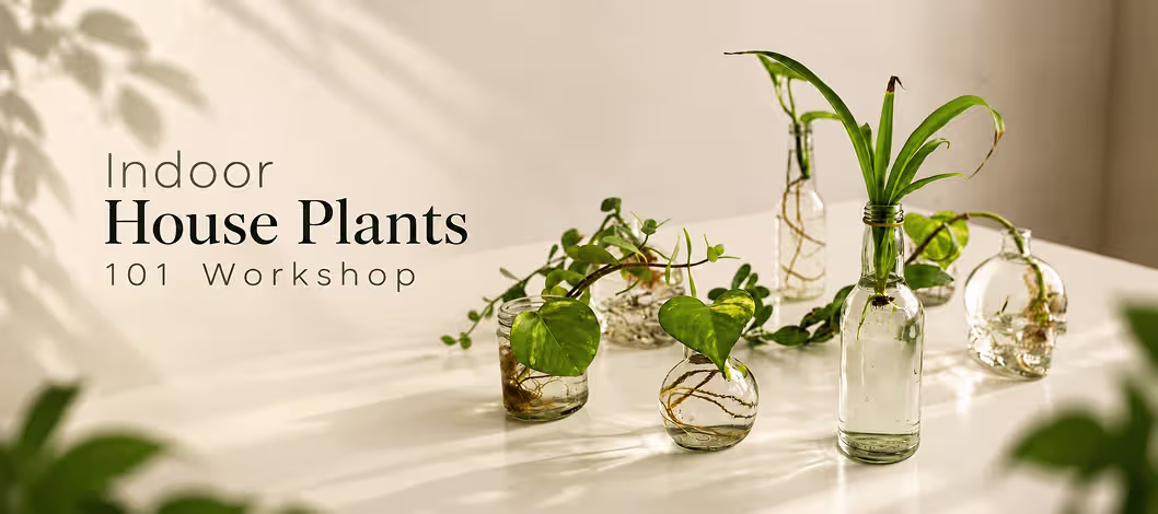 Indoor House Plants 101 Workshop at Plant Doctor