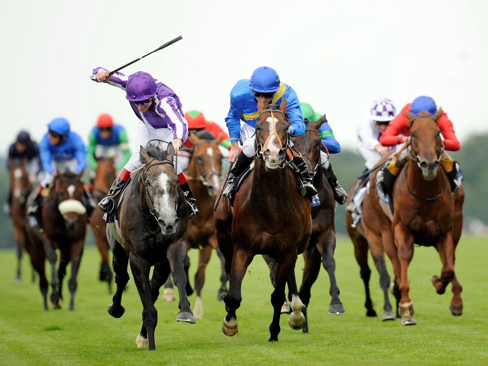 Melbourne Cup Lunch Cruise
